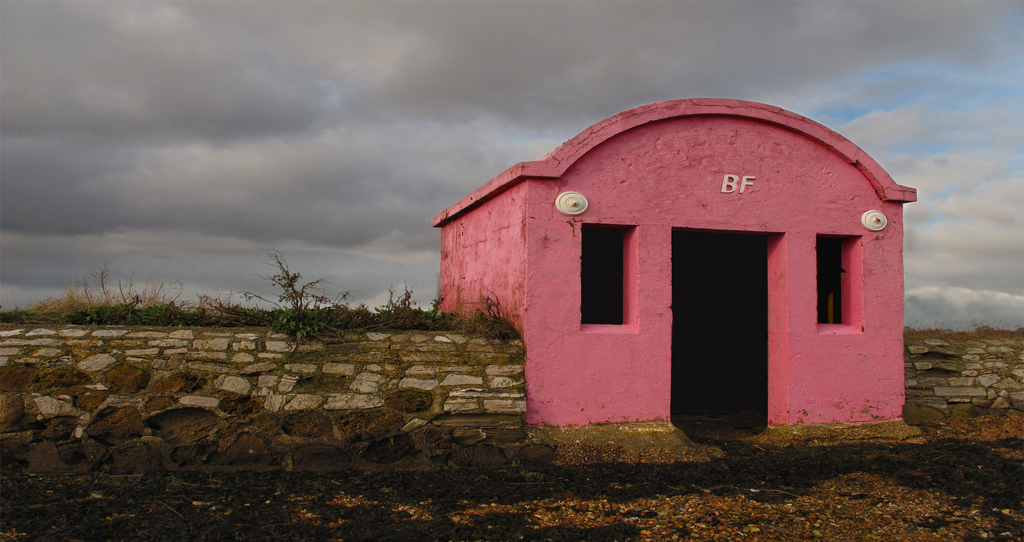 image of a Pink Building